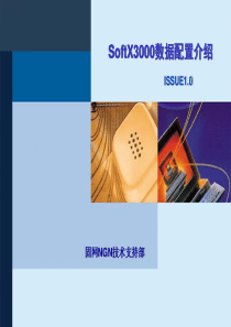 03-SoftX3000数据配置介绍