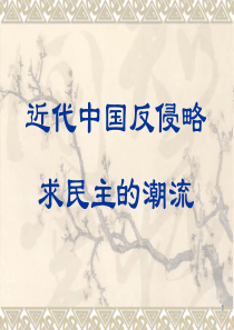 二轮复习近代中国反侵略、求民主的潮流