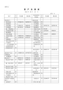 企业资产负债表和损益表模版