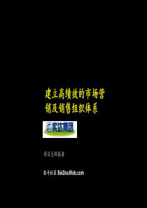 麦肯锡-建立高绩效的市场营销及销售组织体系