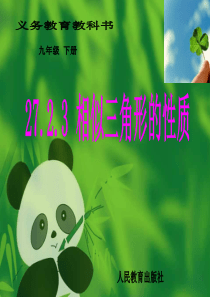 新人教版27.2.2相似三角形的性质 (优质课)上课 - 副本