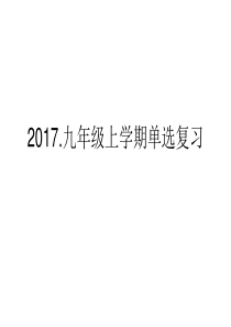 2017.仁爱英语九年级上学期单选复习