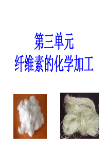 纤维素的化学加工_选修IB