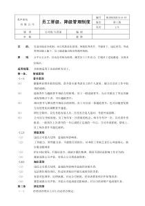 员工晋升、降级、淘汰管理制度