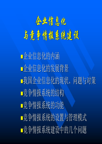 企业信息化与竞争情报系统建设(1)