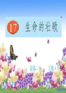 17、生命的壮歌  课件