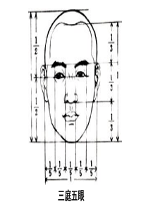 人物--人体比例