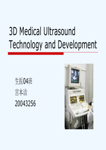 3D Medical Ultrasound Technology and Development