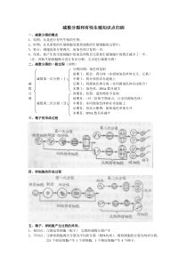 减数分裂知识点归纳