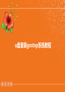 最详细的gost xp系统安装教程