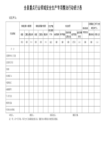 全重点行业领域安全生产专项整治行动统计表