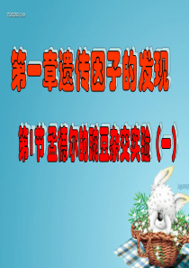 孟德尔的豌豆杂交实验一(好).ppt