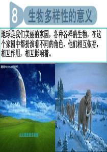 教科版科学六年级上册《生物多样性的意义》PPT