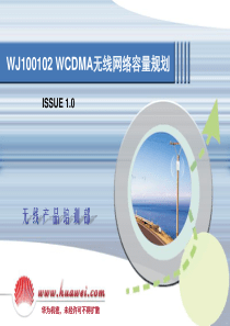 11 WJ100102 WCDMA无线网络容量规划 ISSUE1[1].0