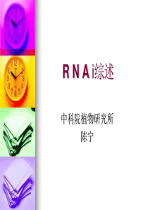 R_N_A_i综述(完整版)