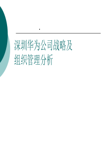 深圳华为公司战略及组织管理案例分析详解