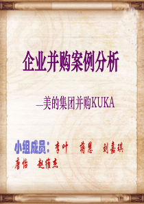 企业并购案例分析 (3)(2)