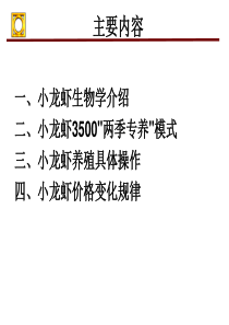 正大集团小龙虾技术推广课件