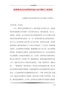 县委副书记在县科协代表大会开幕式上的讲话