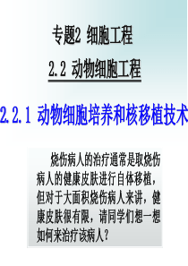 动物细胞培养和核移植技术(反思修正后的)