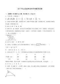 2017年山东省枣庄市中考数学试卷(含答案)