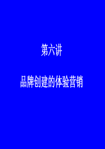 2010.12体验营销