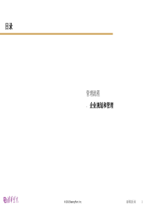 清华紫光管理流程手册-企业规划和管理流程5-毕博