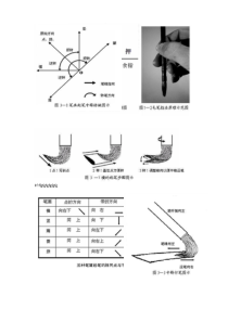 书法初学运笔示