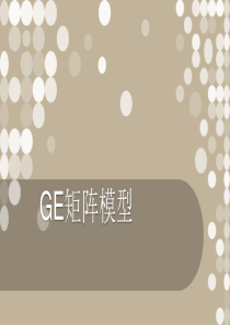 GE矩阵模型解析