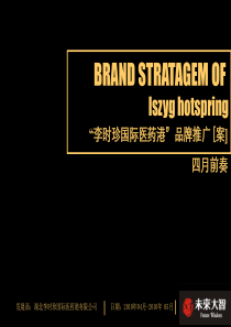 李时珍国际医药港项目XXXX年04月-05月品牌推广案