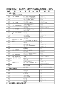 村级基本用药目录