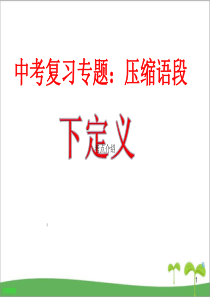 中考压缩语段之下定义(公开课)