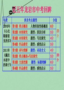 中考指导—记叙文阅读指导课件(共11课时)