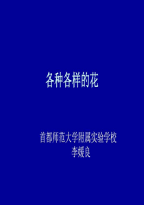 各种各样的花-1541792692.ppt