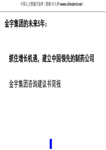 某制药集团咨询建议书简报