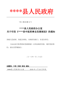 某县中医药事业发展规划