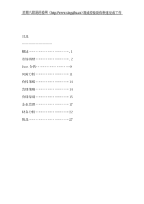 某药业有限公司企业计划书