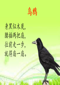 部编本一年级《乌鸦喝水》教学课件