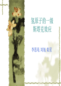 氢原子的一级斯塔克效应