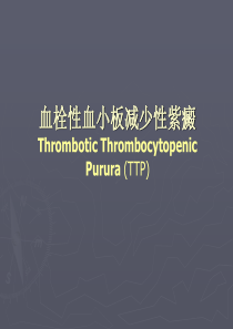 血栓性血小板减少性紫癜TTPppt-PowerPointPresentation