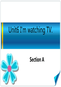 新目标七年级下册复习课件Unit6-Im-watching-TV-Section-A