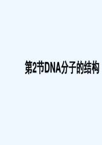 -改DNA分子结构