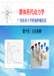 正式群体药代动力学梁宁生