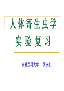 医学人体寄生虫学实验考试复习内容