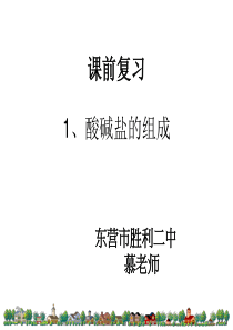 课题1常见盐(课堂)myh