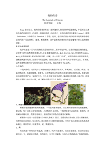 毒药传奇