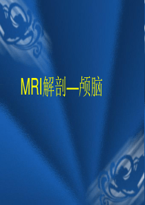 颅脑解剖磁共振MRI