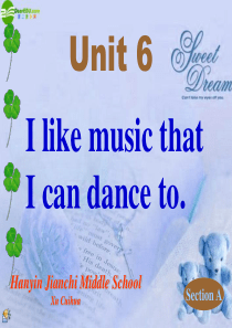 九年级英语_Unit6I_like_music_that_I_can_dance_to课件_人教新课