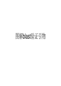 图解blast验证引物教程