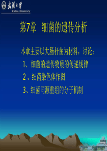 武汉大学遗传学第7章细菌的遗传分析